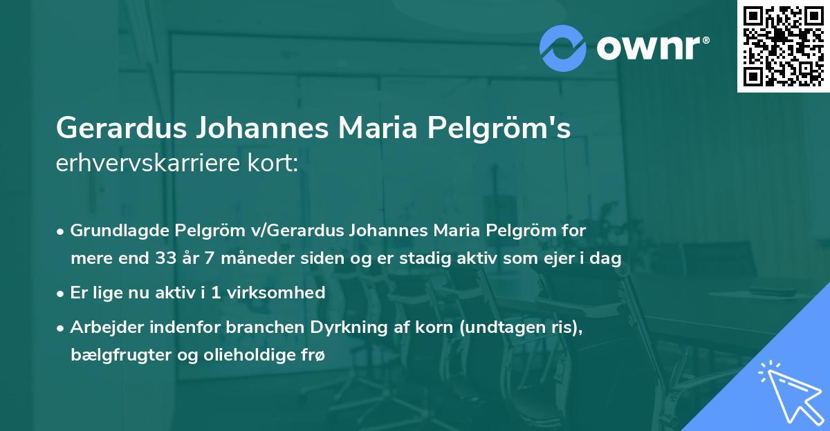 Gerardus Johannes Maria Pelgröm's erhvervskarriere kort