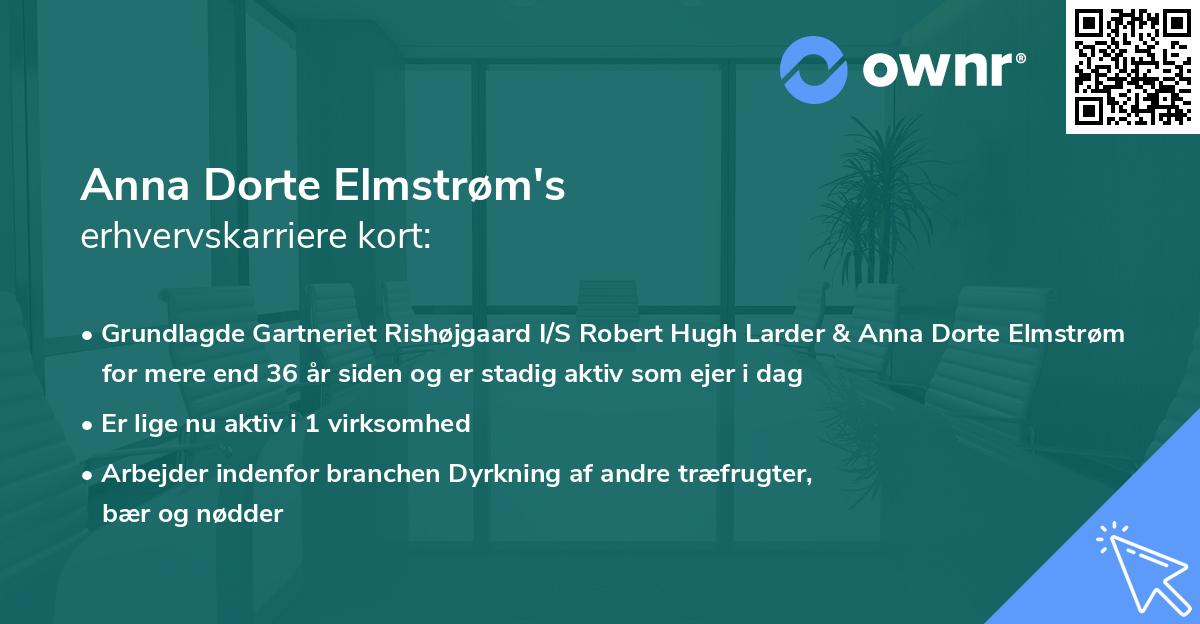 Anna Dorte Elmstrøm's erhvervskarriere kort