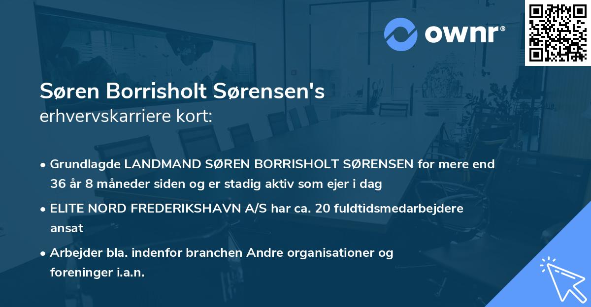 Søren Borrisholt Sørensen's erhvervskarriere kort