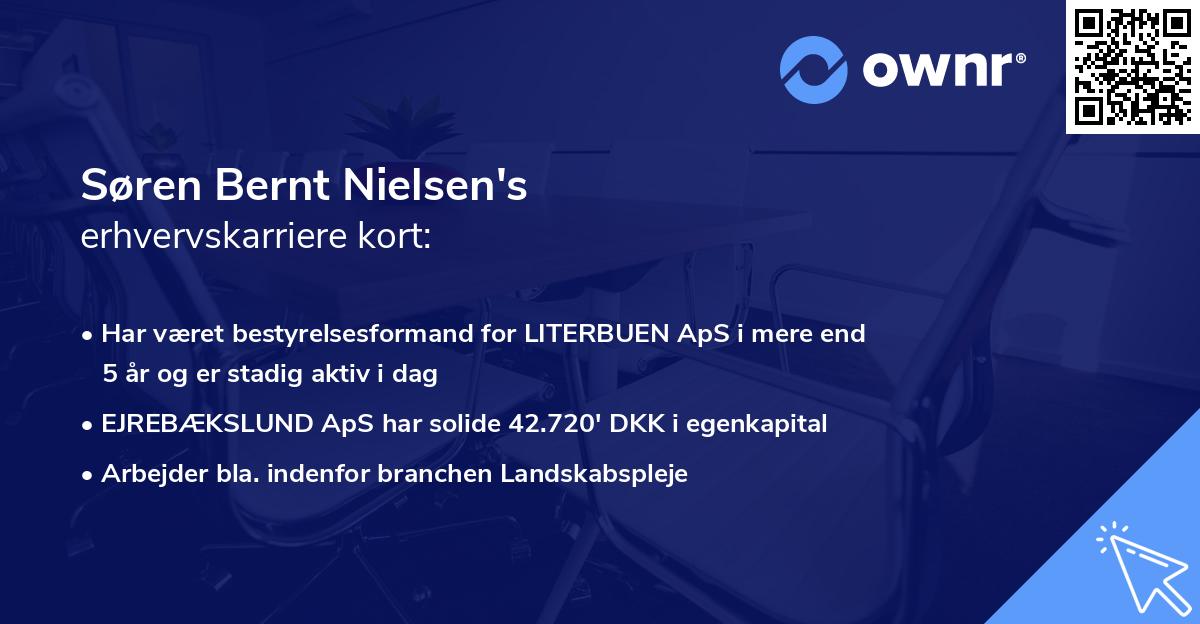 Søren Bernt Nielsen's erhvervskarriere kort