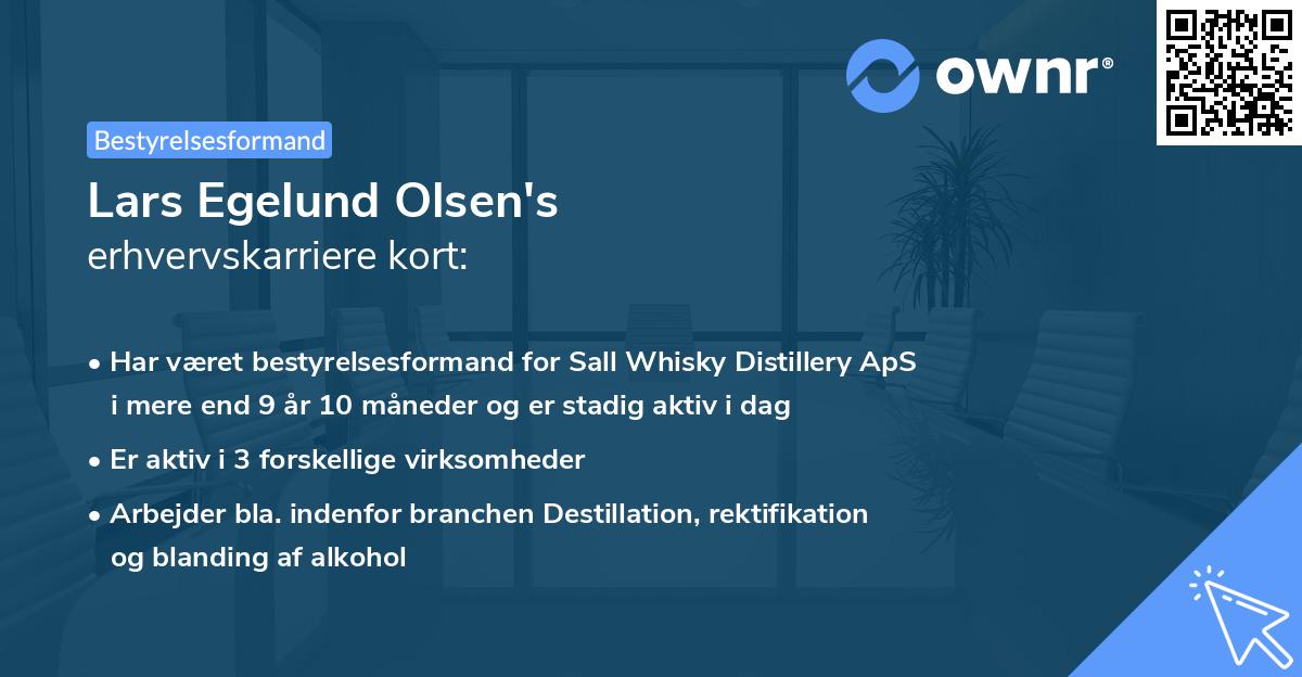 Lars Egelund Olsen's erhvervskarriere kort