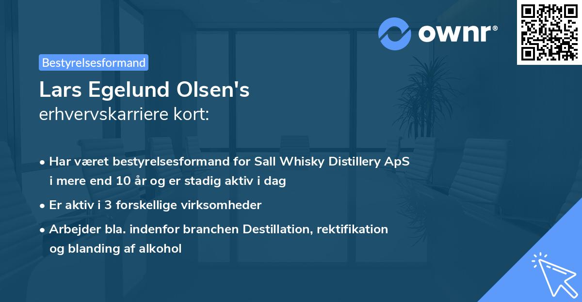 Lars Egelund Olsen's erhvervskarriere kort