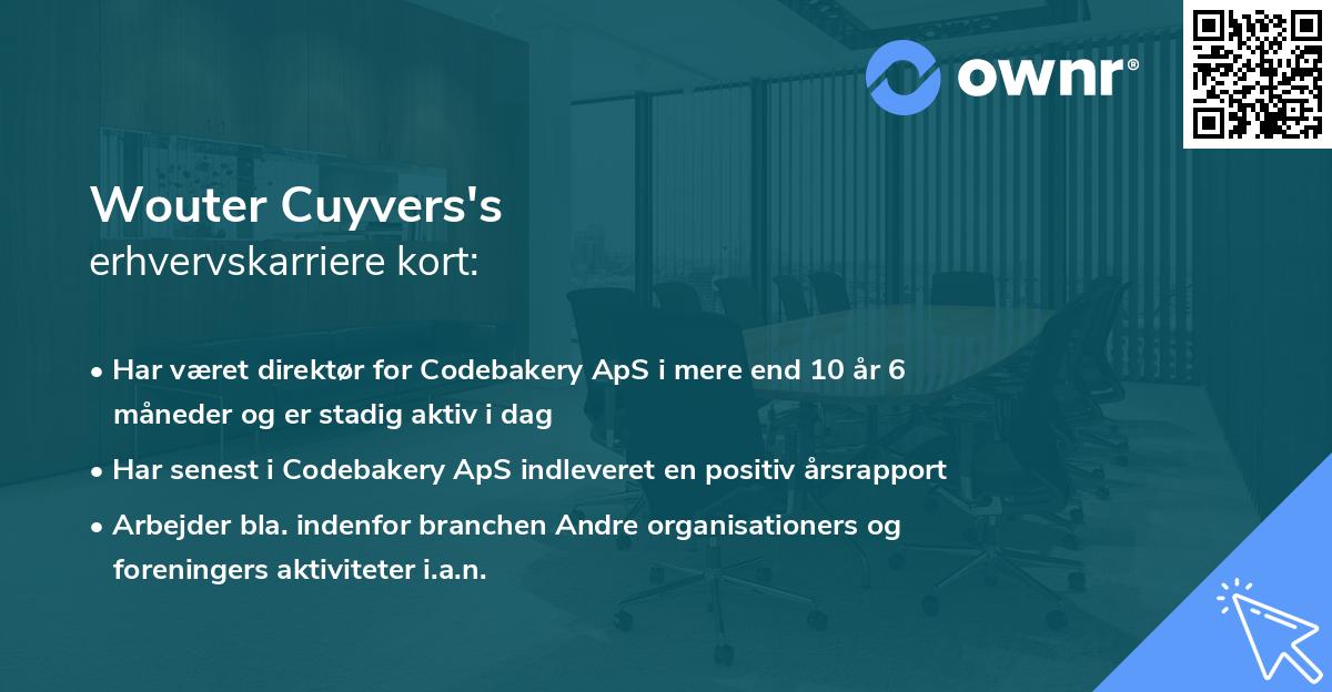 Wouter Cuyvers's erhvervskarriere kort