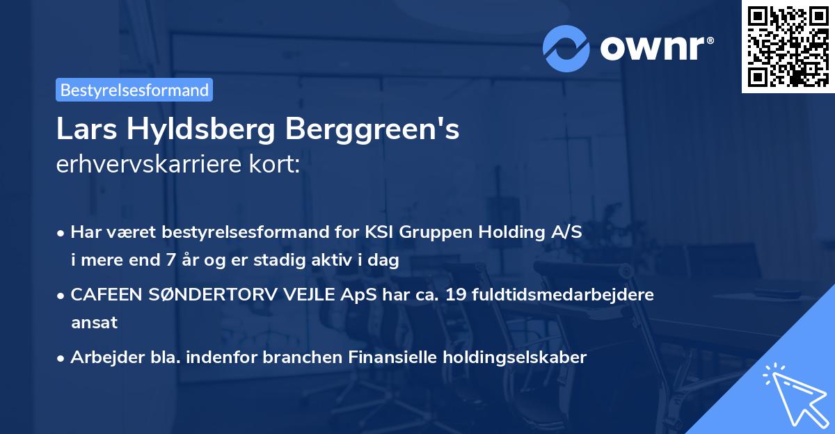 Lars Hyldsberg Berggreen's erhvervskarriere kort