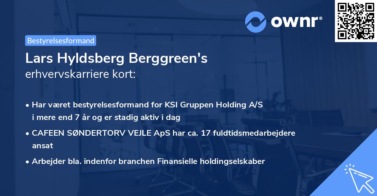 Lars Hyldsberg Berggreen's erhvervskarriere kort
