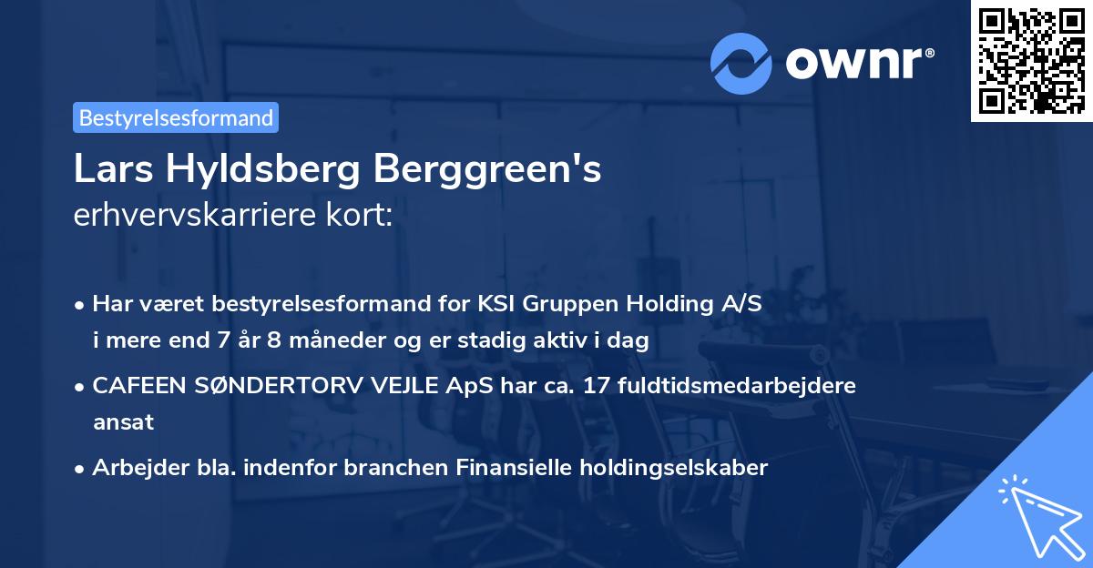Lars Hyldsberg Berggreen's erhvervskarriere kort