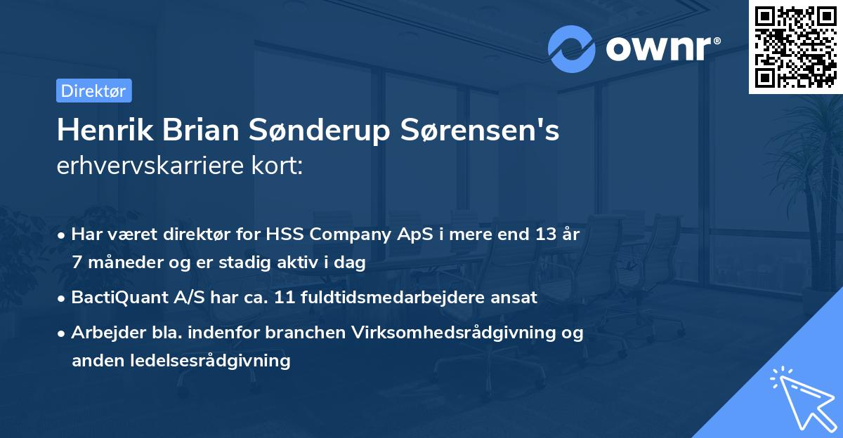 Henrik Brian Sønderup Sørensen's erhvervskarriere kort