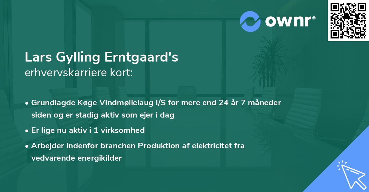 Lars Gylling Erntgaard's erhvervskarriere kort