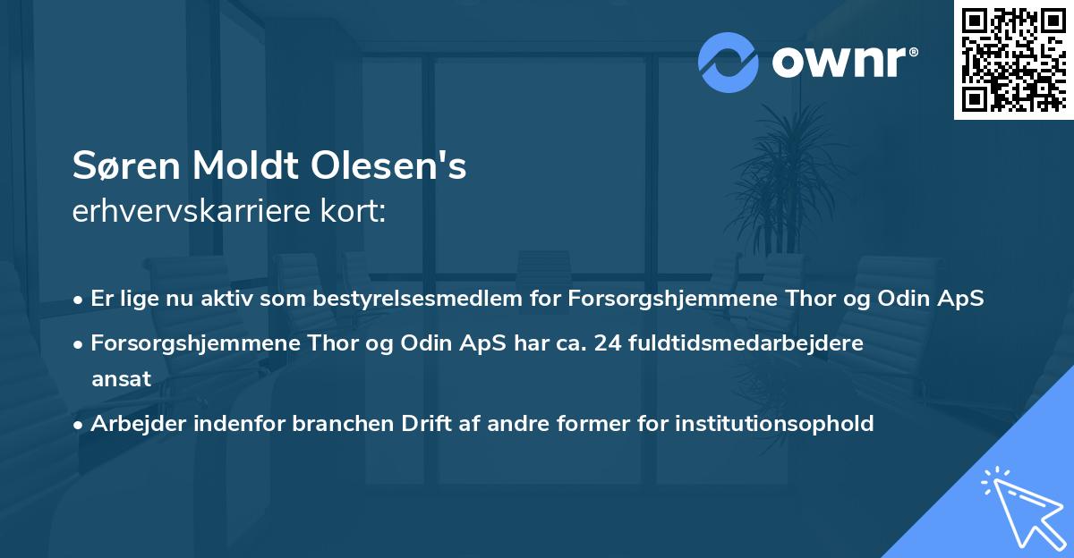 Søren Moldt Olesen's erhvervskarriere kort