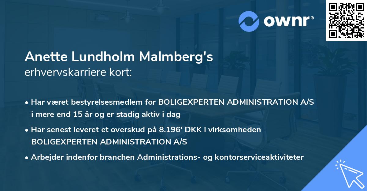 Anette Lundholm Malmberg's erhvervskarriere kort