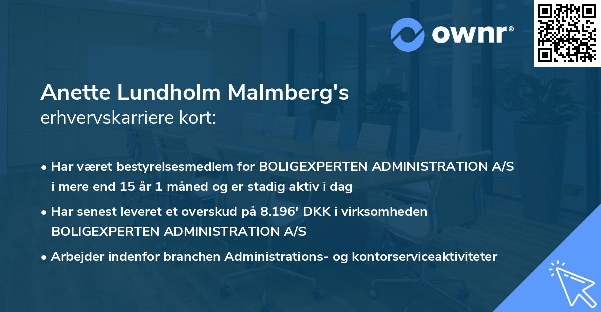 Anette Lundholm Malmberg's erhvervskarriere kort