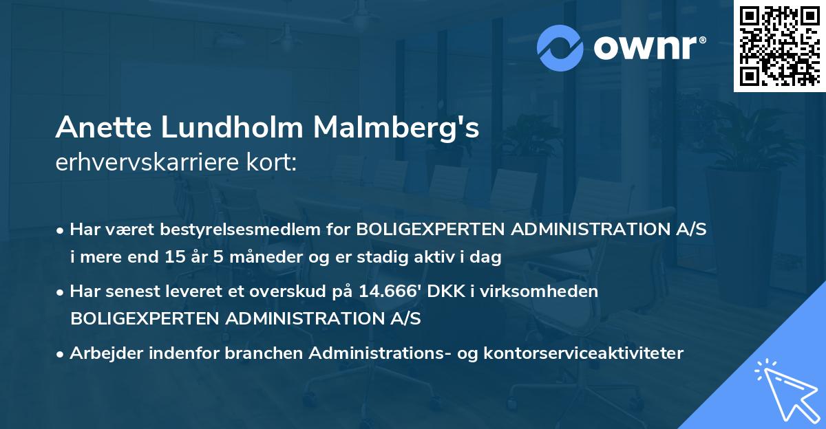 Anette Lundholm Malmberg's erhvervskarriere kort