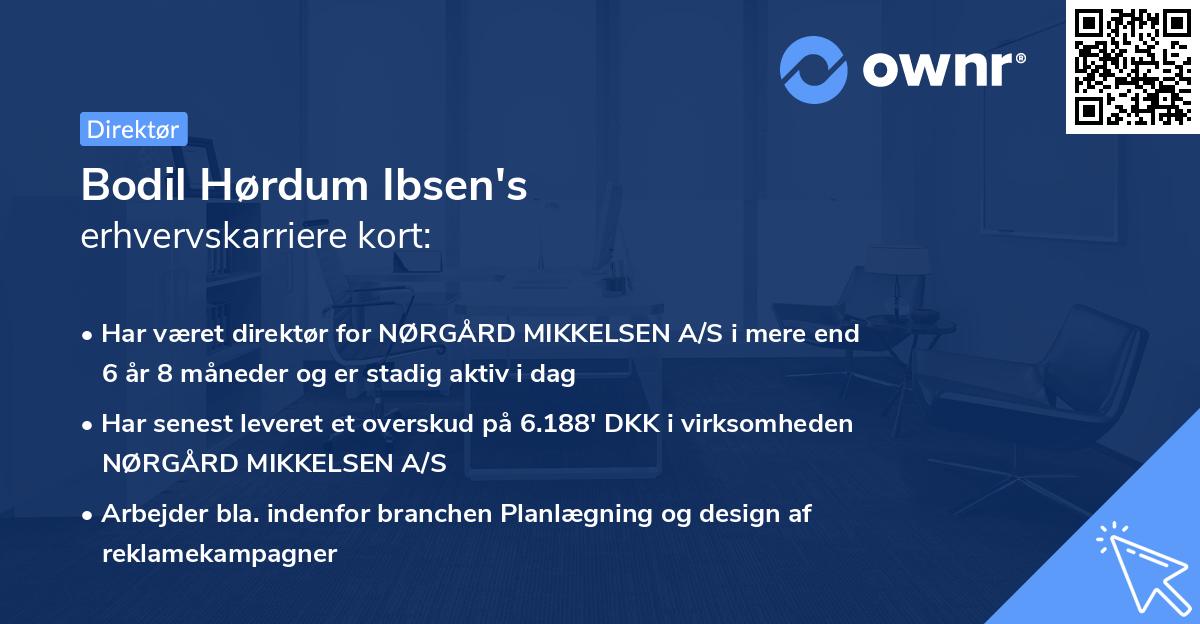 Bodil Hørdum Ibsen's erhvervskarriere kort