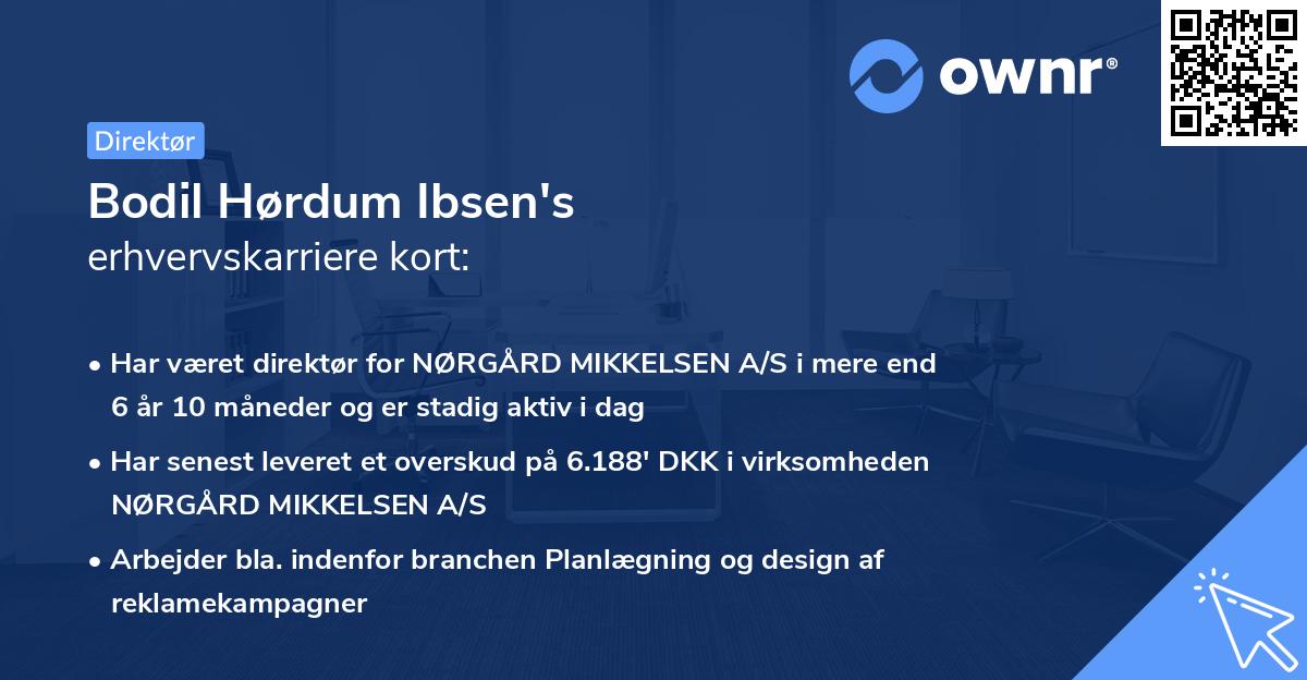 Bodil Hørdum Ibsen's erhvervskarriere kort