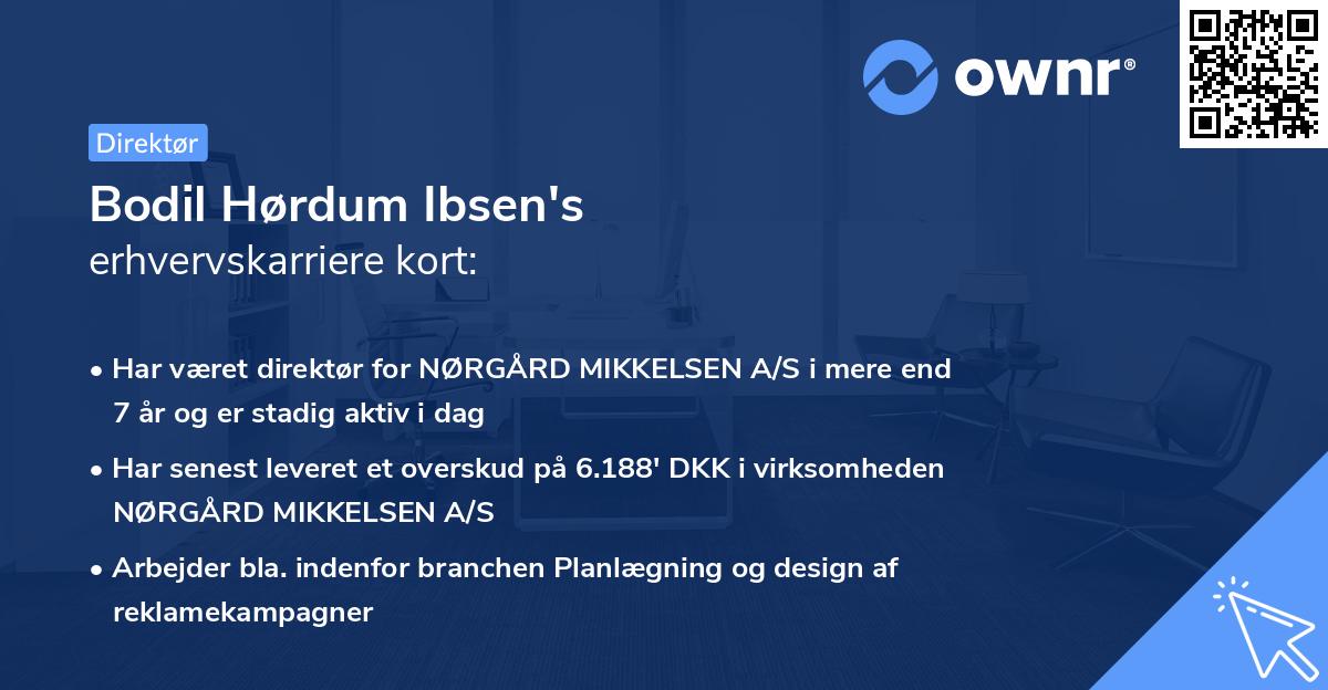 Bodil Hørdum Ibsen's erhvervskarriere kort