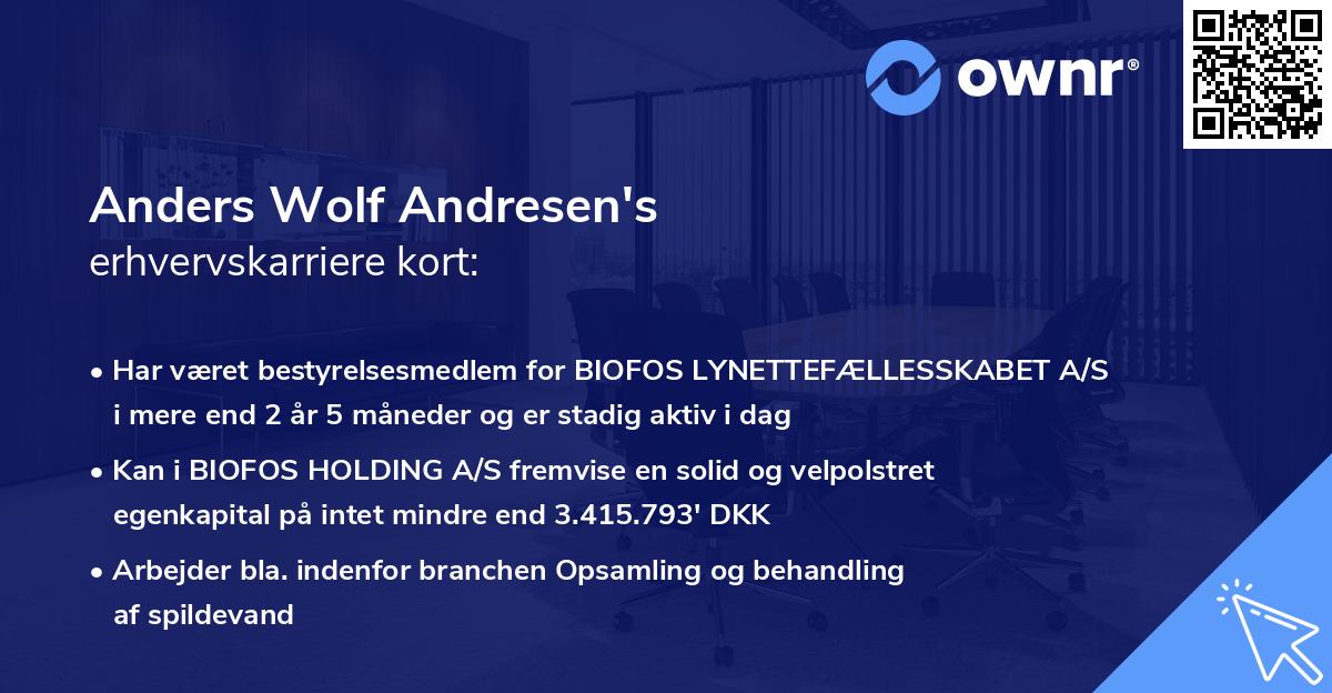 Anders Wolf Andresen's erhvervskarriere kort