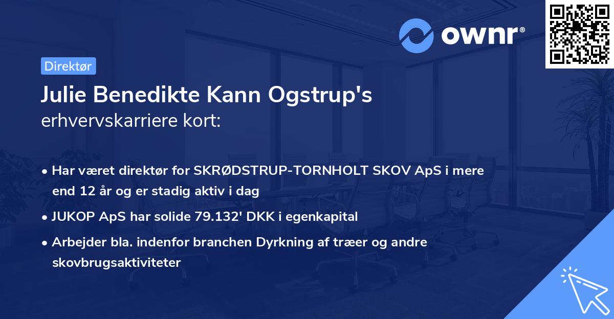 Julie Benedikte Kann Ogstrup's erhvervskarriere kort