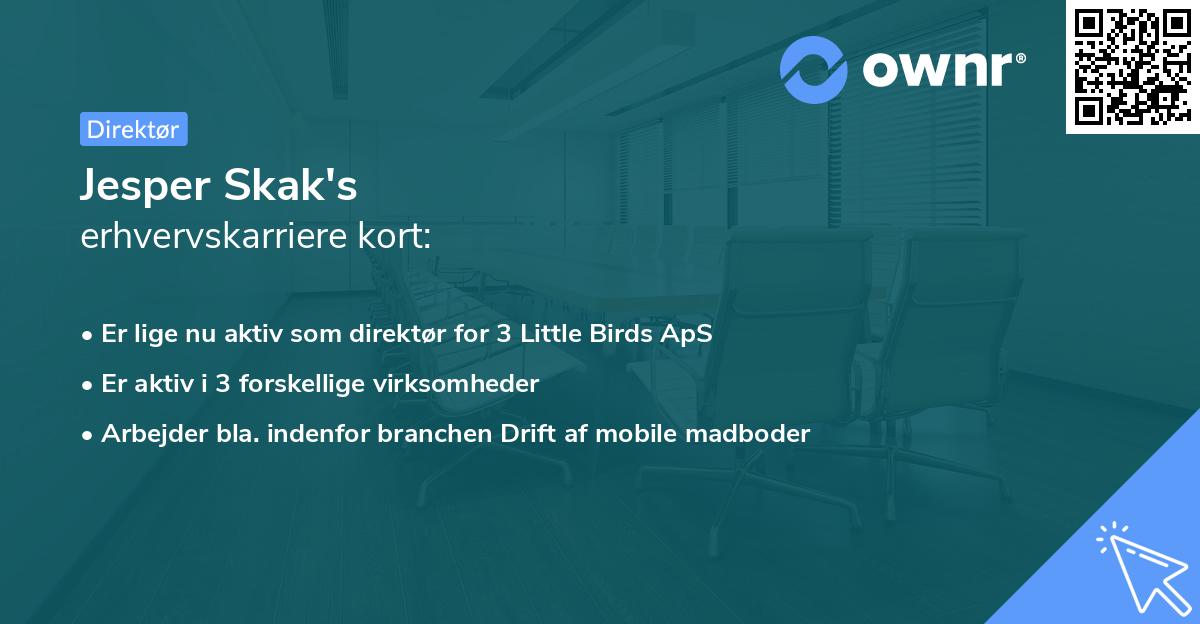 Jesper Skak's erhvervskarriere kort