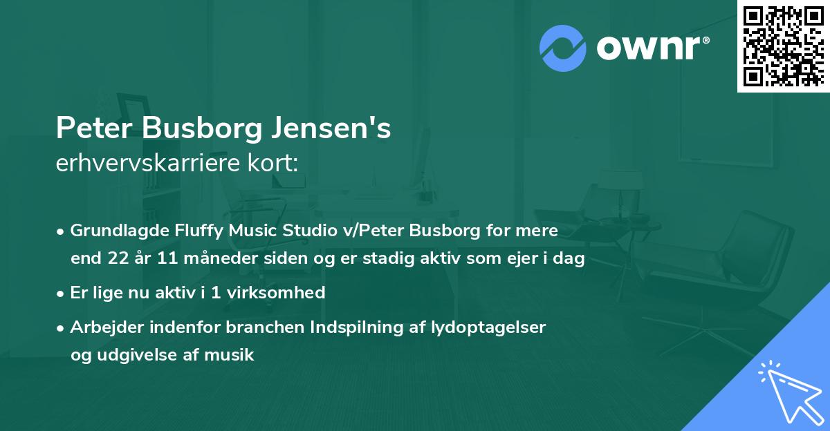 Peter Busborg Jensen's erhvervskarriere kort