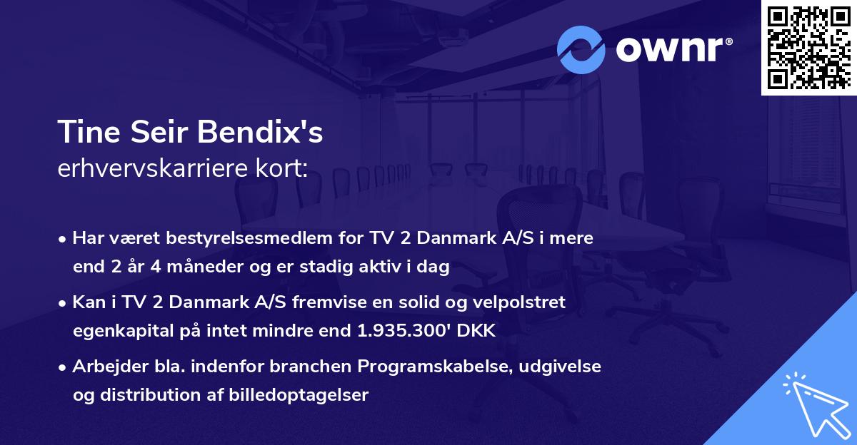 Tine Seir Bendix's erhvervskarriere kort