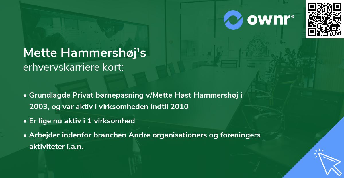 Mette Hammershøj's erhvervskarriere kort