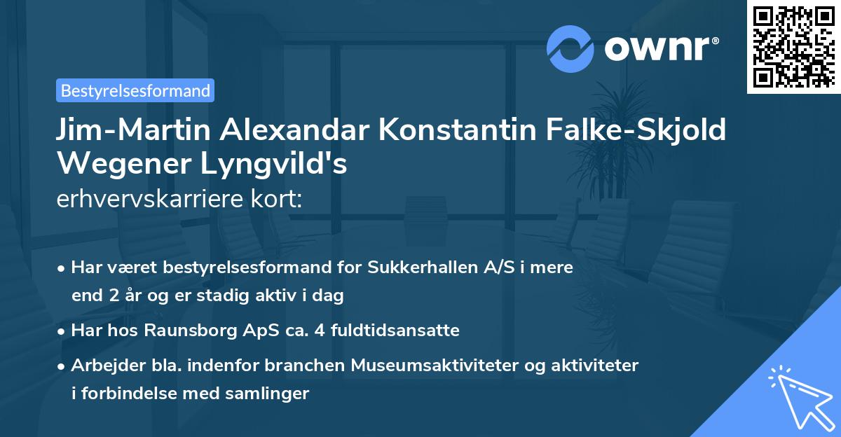 Jim-Martin Alexandar Konstantin Falke-Skjold Wegener Lyngvild's erhvervskarriere kort