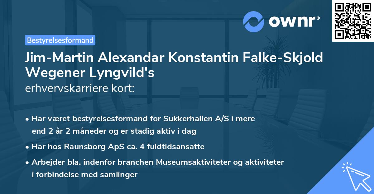 Jim-Martin Alexandar Konstantin Falke-Skjold Wegener Lyngvild's erhvervskarriere kort