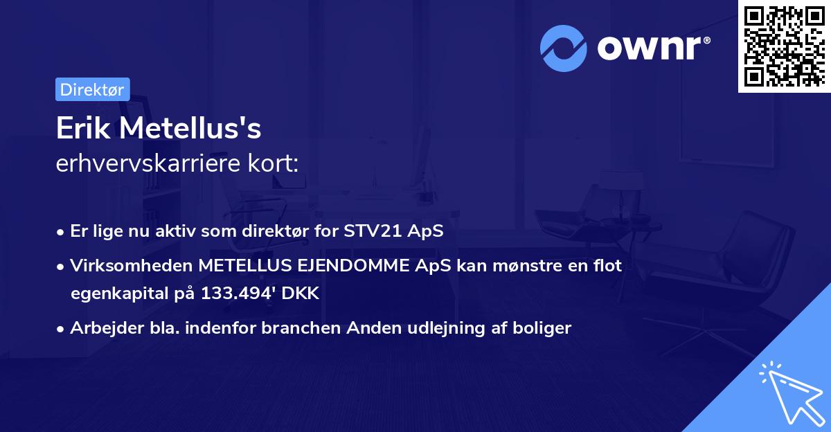 Erik Metellus's erhvervskarriere kort