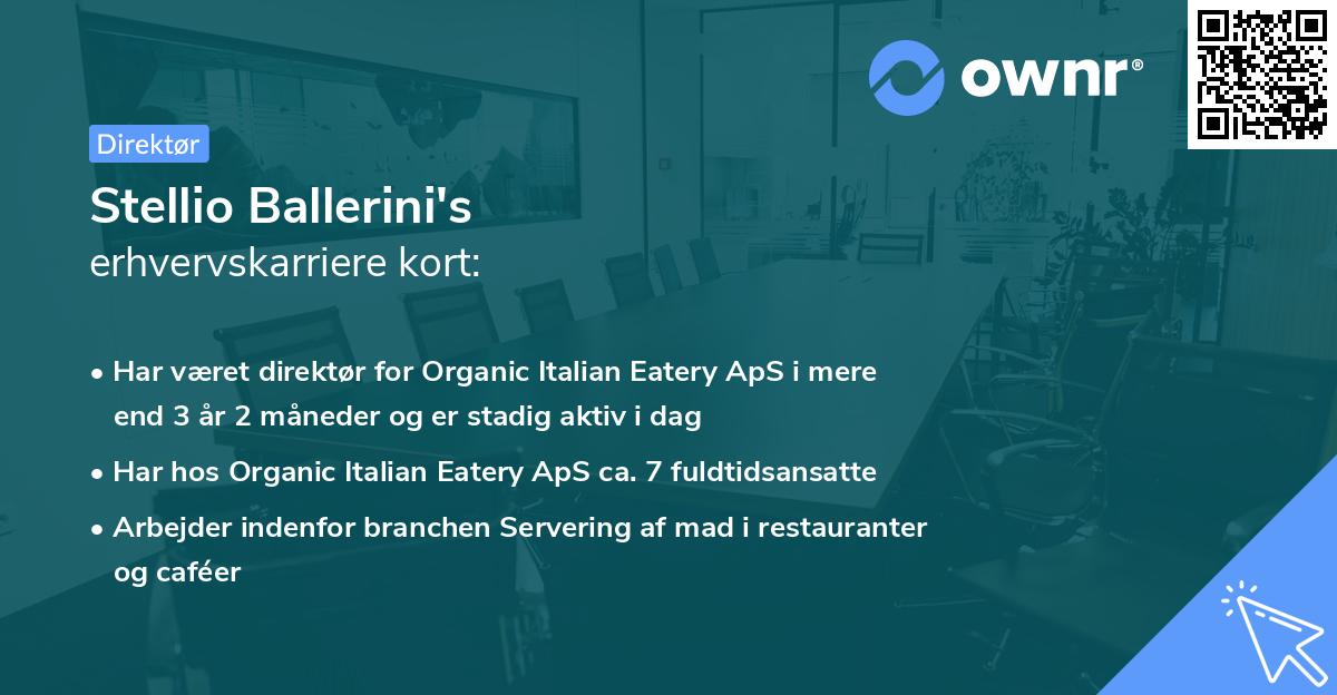 Stellio Ballerini's erhvervskarriere kort