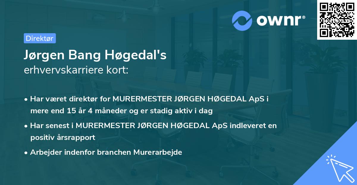Jørgen Bang Høgedal's erhvervskarriere kort