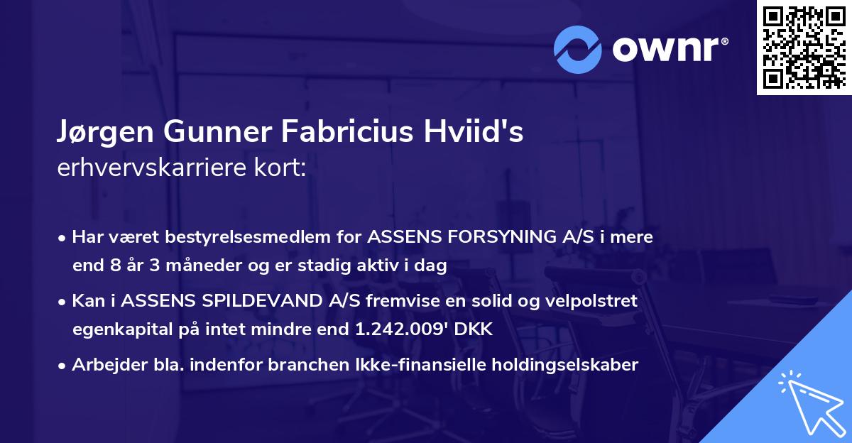 Jørgen Gunner Fabricius Hviid's erhvervskarriere kort