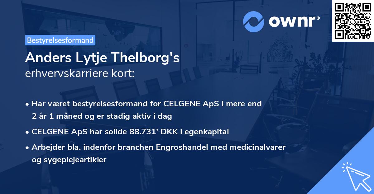 Anders Lytje Thelborg's erhvervskarriere kort