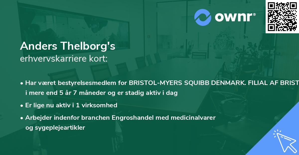 Anders Thelborg's erhvervskarriere kort