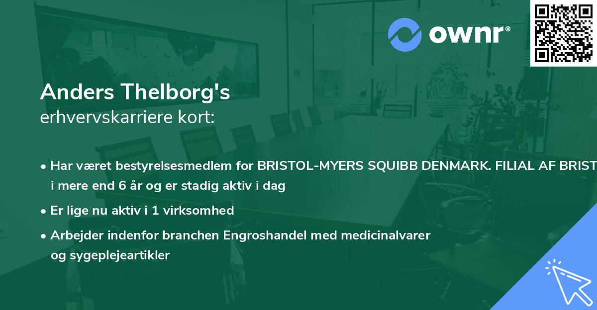 Anders Thelborg's erhvervskarriere kort