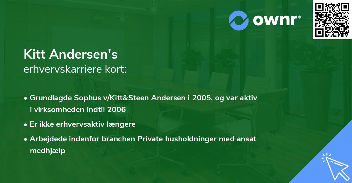 Kitt Andersen's erhvervskarriere kort