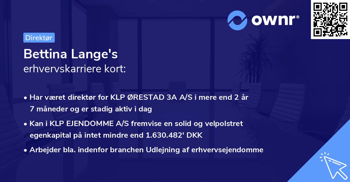 Bettina Lange's erhvervskarriere kort
