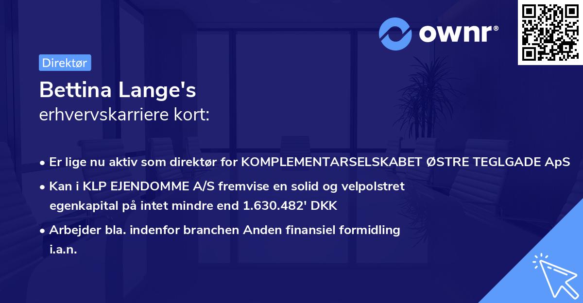Bettina Lange's erhvervskarriere kort