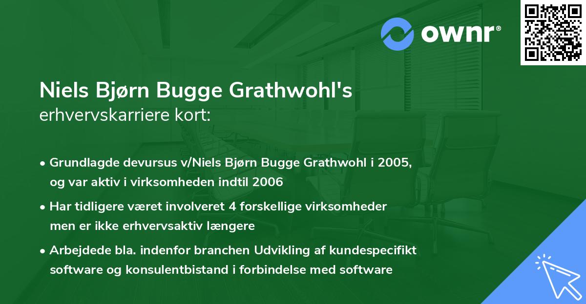 Niels Bjørn Bugge Grathwohl's erhvervskarriere kort