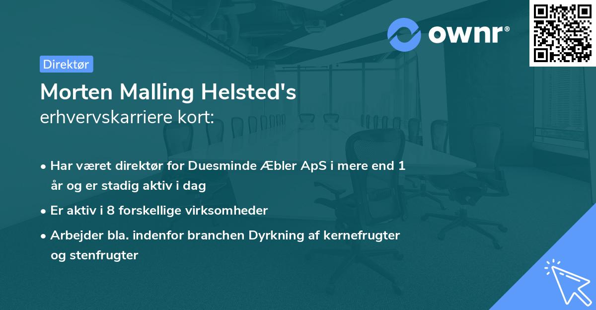 Morten Malling Helsted's erhvervskarriere kort