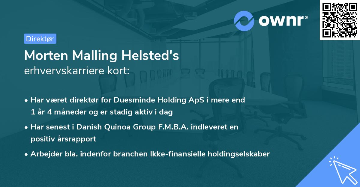 Morten Malling Helsted's erhvervskarriere kort