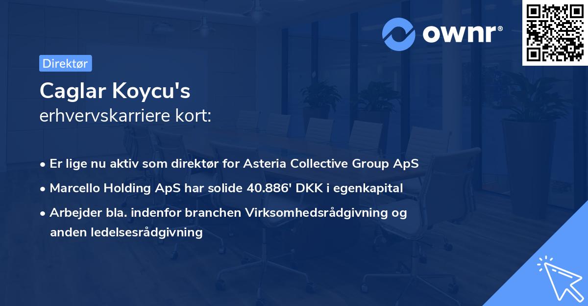 Caglar Koycu's erhvervskarriere kort