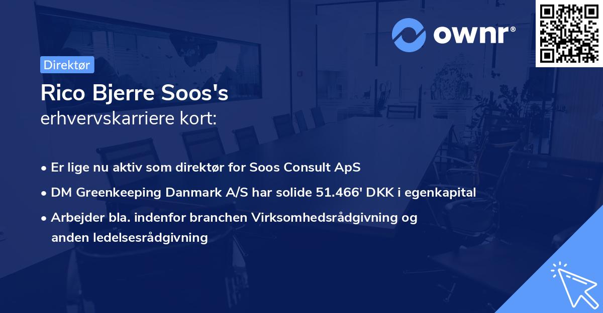 Rico Bjerre Soos's erhvervskarriere kort