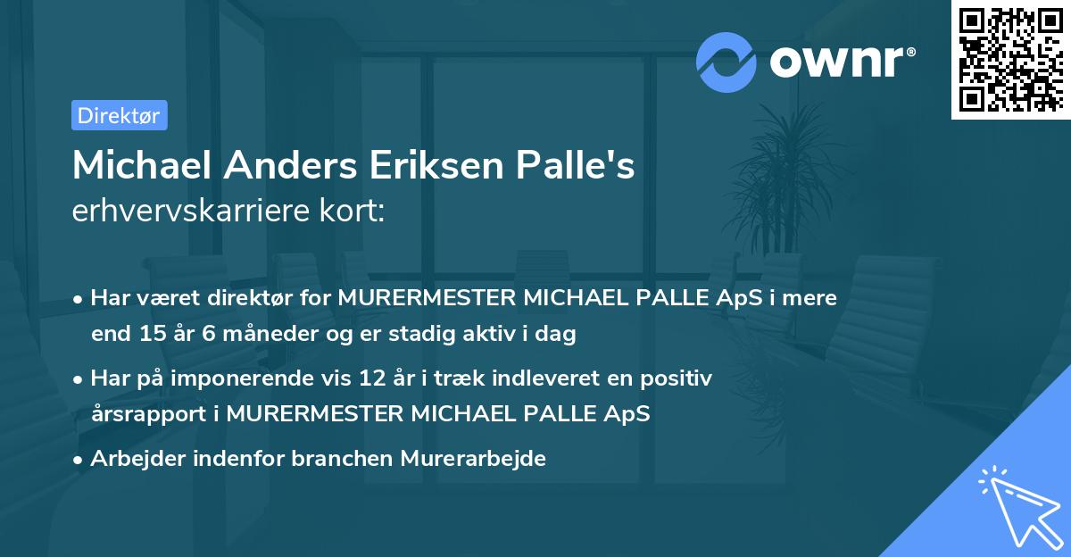 Michael Anders Eriksen Palle's erhvervskarriere kort