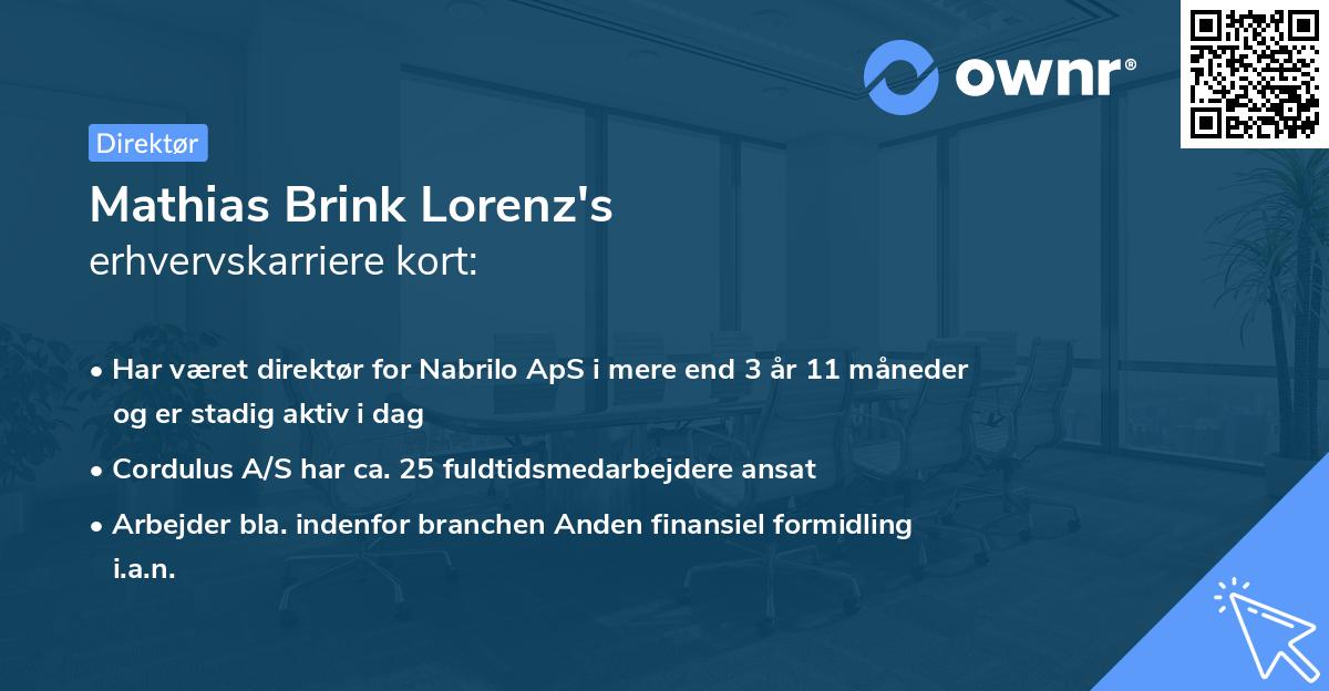 Mathias Brink Lorenz's erhvervskarriere kort