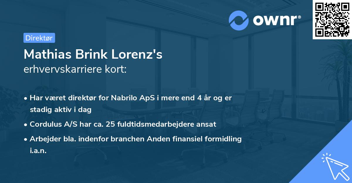 Mathias Brink Lorenz's erhvervskarriere kort