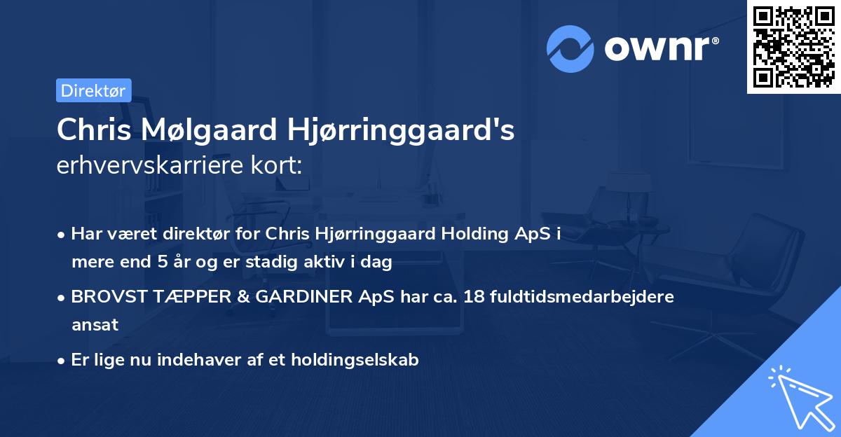 Chris Mølgaard Hjørringgaard's erhvervskarriere kort