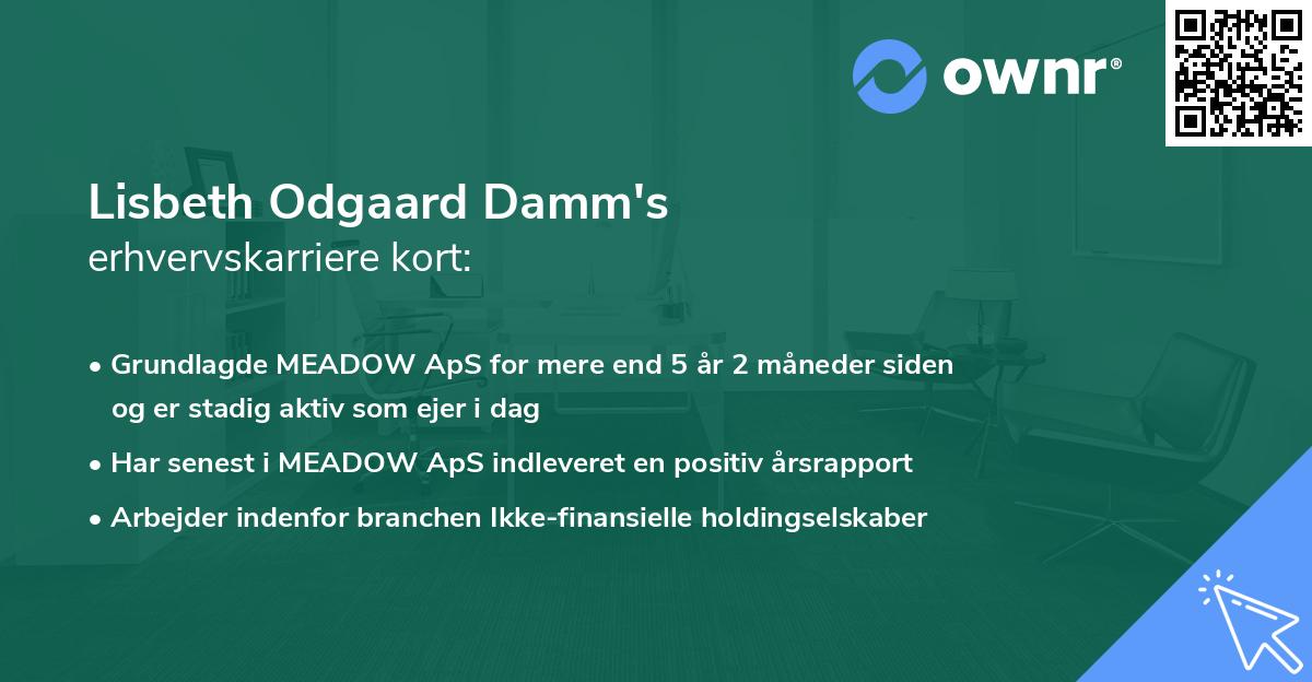 Lisbeth Odgaard Damm's erhvervskarriere kort