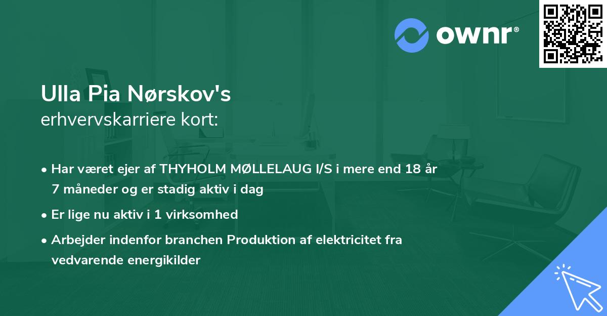 Ulla Pia Nørskov's erhvervskarriere kort