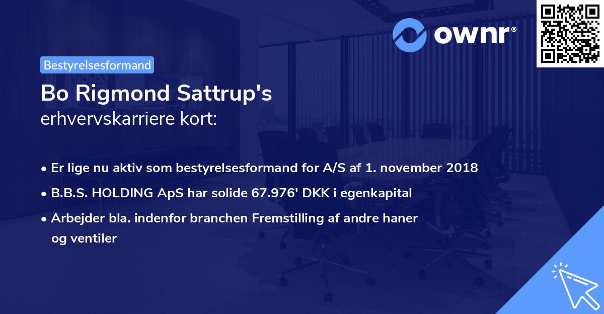 Bo Rigmond Sattrup's erhvervskarriere kort