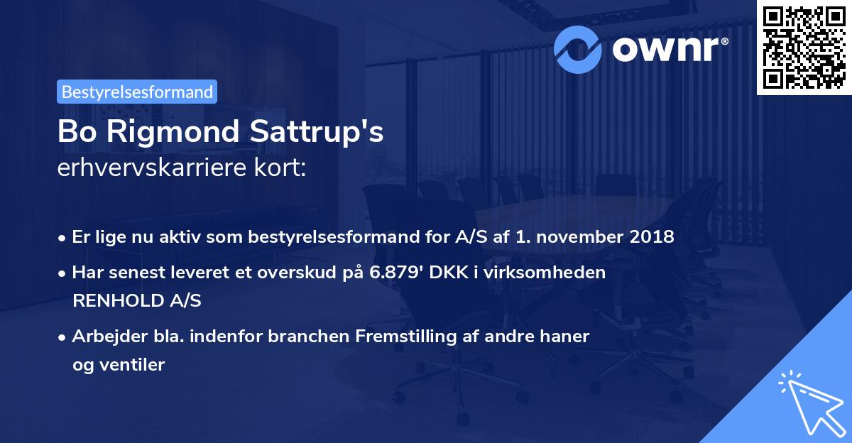 Bo Rigmond Sattrup's erhvervskarriere kort
